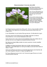 Wiesenschaumkraut.pdf